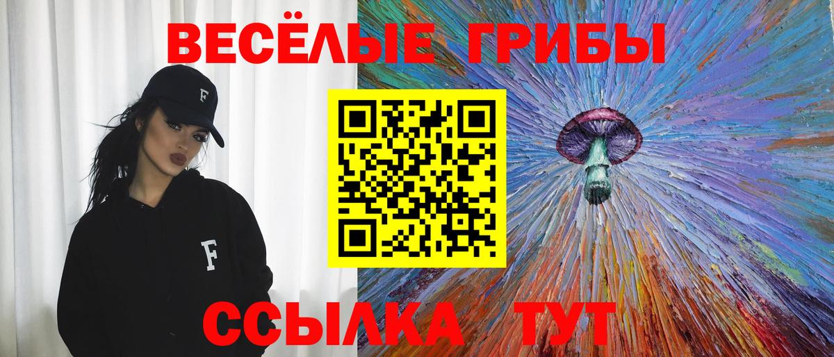 Галлюциногенные грибы Cubensis Ессентуки
