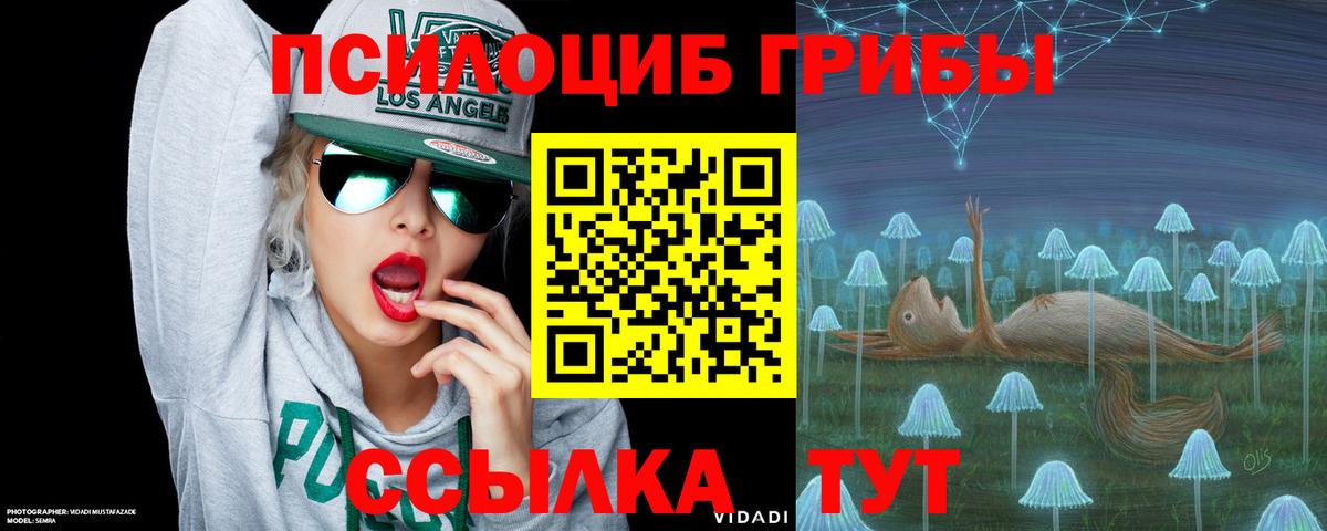 Ессентуки  Галлюциногенные грибы MAGIC MUSHROOMS  Вход с VPN 